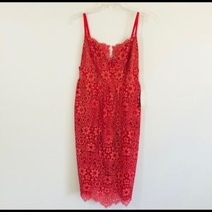 For love and lemons dress